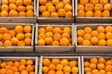 Ripe mandarins in wooden boxes stand in a row.