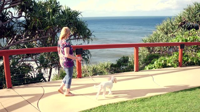 woman walks a dog in the park by the ocean