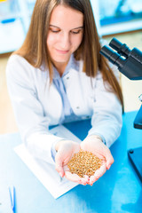 Selective and genetic work with seeds and grains in a scientific laboratory. Food quality control