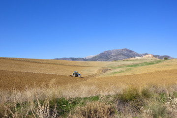 spanish agriculture