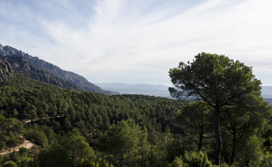 Fototapeta na wymiar Panoramic view of mountains and forest path at Montserrat mountains in Catalonia
