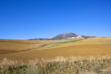 mountains and arable fields