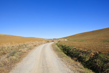 plowed soil and white road