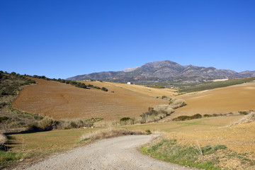 andalucian farming scenery