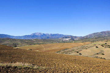 Fototapeta na wymiar andalucian farmland