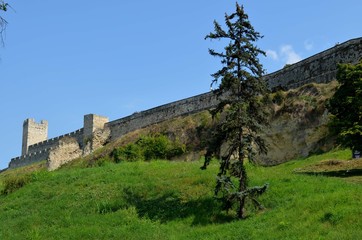 Fototapeta premium Belgrad - Kalemegdan Surları