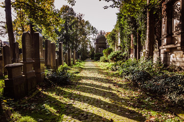Ancient cemetery in Poland few days before Helloween