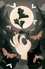 Cotton fabric Moon Moth