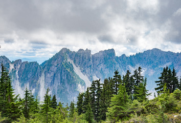 Rocky mountains covered with green forest with blue sky and white clouds on the background