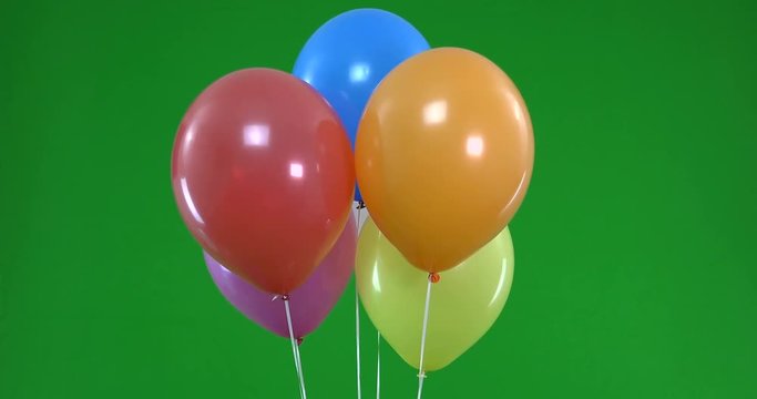 Green screen of colorful Balloons rising and flying ready for party