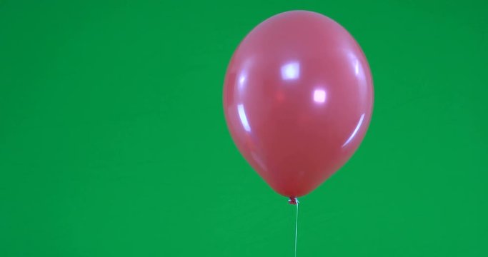 Green screen of colorful Balloons rising and flying ready for party