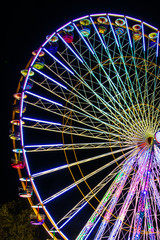 Big ferry wheel in the park by night