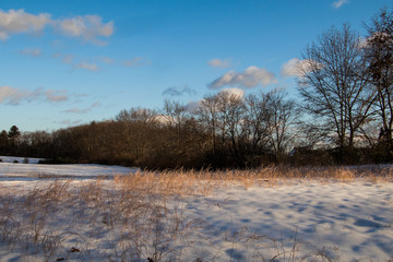 Naklejka na ściany i meble Farm field covered by snow under a beautiful blue sky