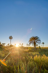 Sunrise on El Palmar National Park, Argentina