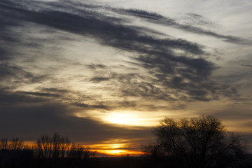 golden sunset behind the trees