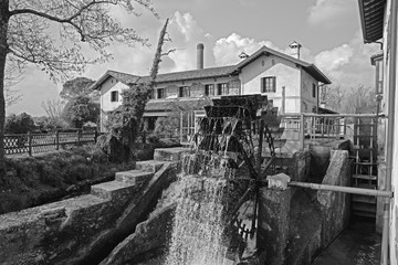 Fototapeta premium mulino