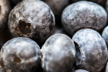 Close Up of Blueberry