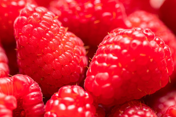 Close Up of raspberry