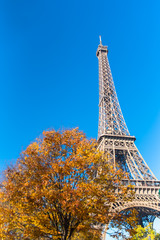 Paris, Eiffel tower behind autumn trees, panorama from the Champ de Mars
