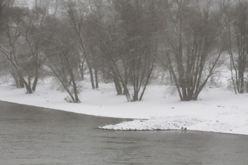 Rhein bei Schneesturm