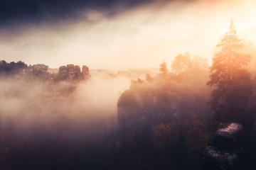 Misty morning in the Elbe Sandstone Mountains