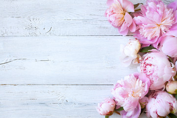 Fototapeta na wymiar Pink flowers peonies on a white wooden background, space for greeting text