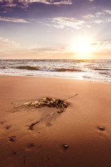 Beach at Hirtshals