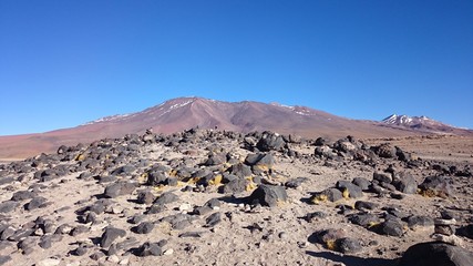 Rocas
