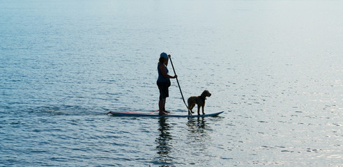 Naklejka premium Silhouette unrecognizable woman and dog on stand-up paddle-board paddling towards light