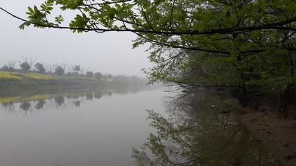 Autumn calm on the pond.