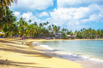 Obraz premium Caribbean beach