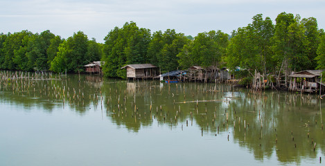 Fototapeta na wymiar huts at river in tropical landscape - houses in jungle