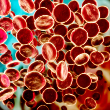 Stream of red blood cells, circulatory system