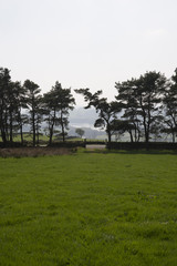 Images taken at the Roaches in Staffordshire UK