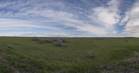 Camas Prairie Idaho