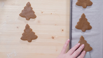 Gingerbread cookies