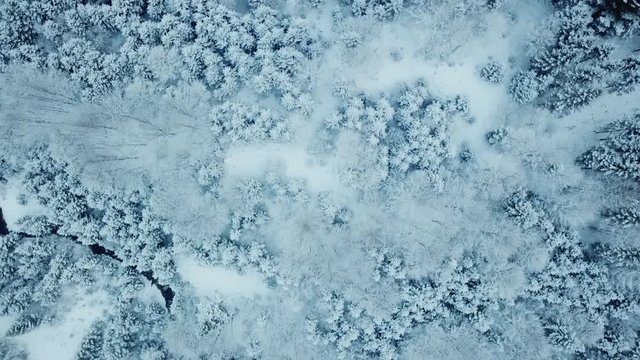 aerial flight over winter landscape in ebensee
