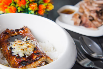 unagi rice bowl with mozzarella cheese