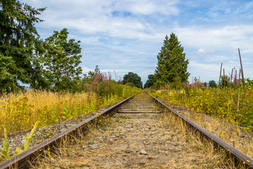 Railway through the meadow stretches to the horizon