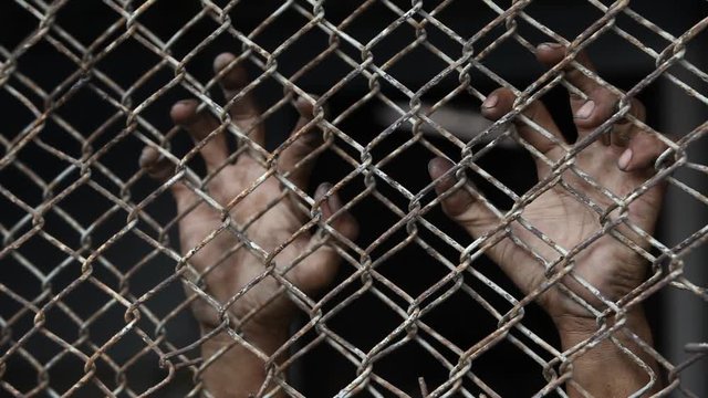 hand of prisoner shaking jail