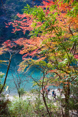 Arashiyama park at autumn season .