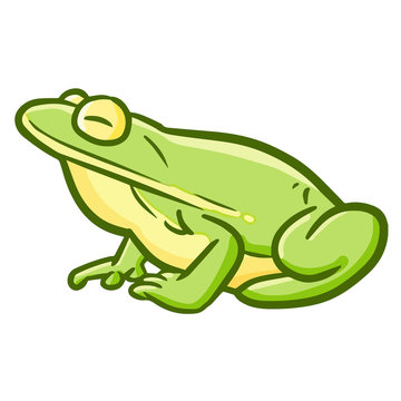 Cool and funny frog - vector.