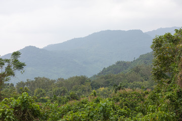 Tropical landscape with hills in national park Ya Nuo Da on island of Hainan