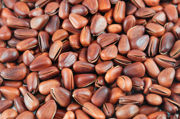 fresh pine nuts background