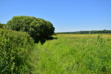 At last summer has come!