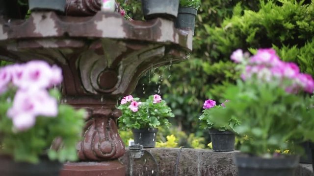 Fuente de piedra de cantera en hacienda r&uacute;stica mexicana Xochimilco