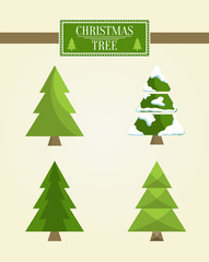 Christmas Tree Types Set, Vector Illustration