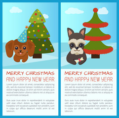 Fototapeta premium Merry Christmas Pine Tree Set Vector Illustration