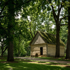 Log Cabin in the Forest