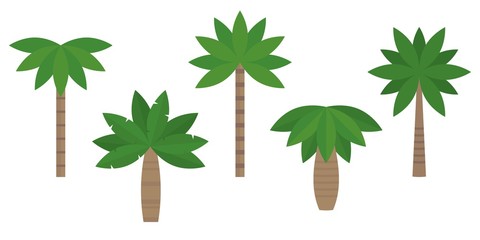 Set of palm in various type, tropical plant in flat design